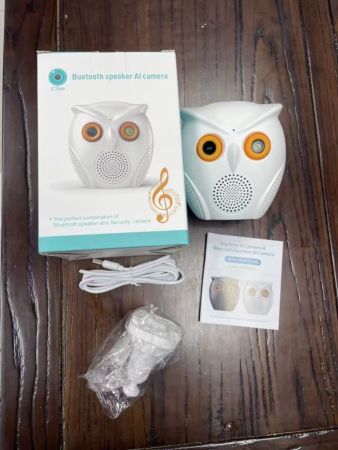 Wi-Fi Owl Shape Camera